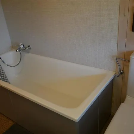 La Ruche- Appartement-fewo- Dusche Oder Bad- Wc 9-bettwohnung By Interhome * Hornkessel